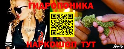 PSILOCYBIN Конаково