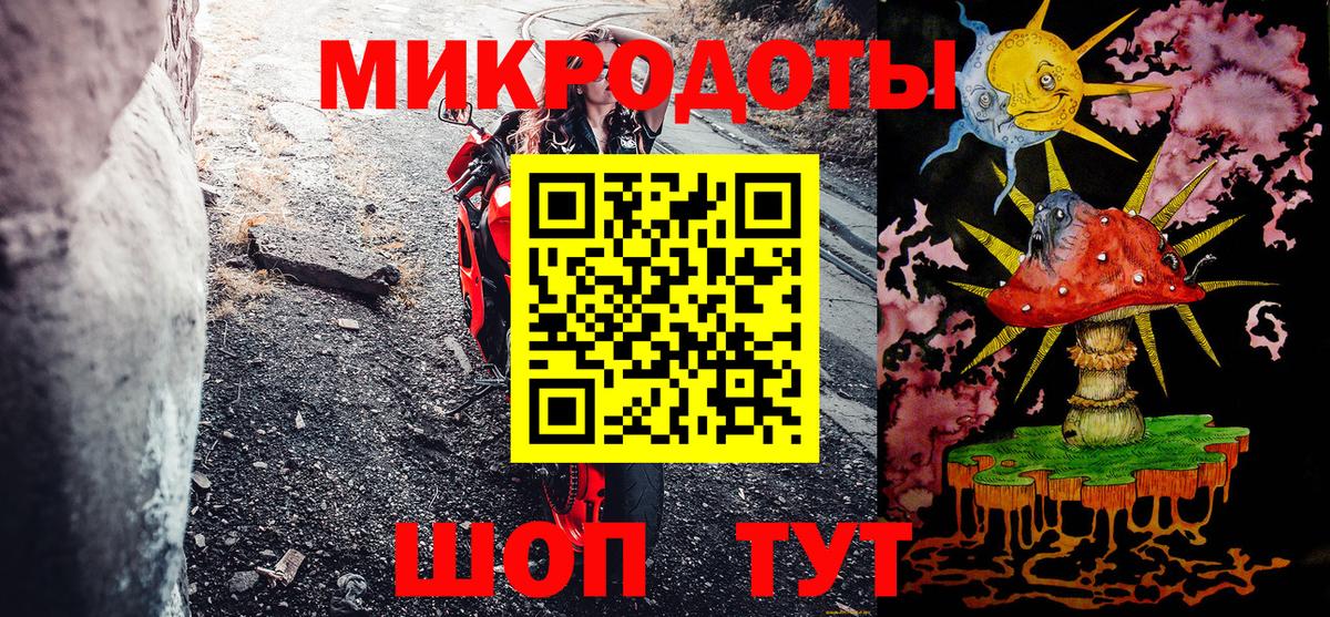 Галлюциногенные грибы Psilocybe Киселёвск