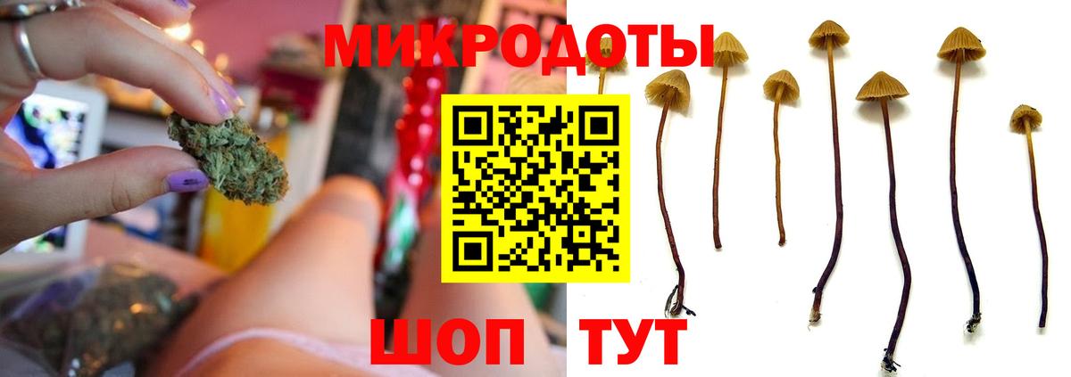 Галлюциногенные грибы GOLDEN TEACHER  Вход с VPN  Киселёвск  Псилоцибиновые грибы Psilocybe 